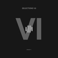 VA – Selections V.6 [ORANGE171]