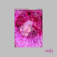 VA – Best of Northern Parallels 002 [Northern Parallels]