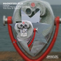 VA – Magnified, Pt. 5 [MGN078]