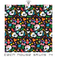 VA – Tech House Skulls, Vol. 14 [SAB152]