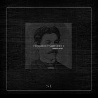 VA – Frequency Switcher – Vol. 4 [Selected Records]