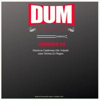 VA – Various43 [DUM]