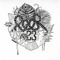 VA – Peer23 [Laber Nicht Records]