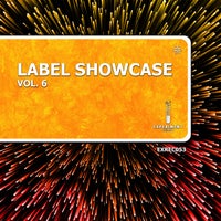 VA – Label Showcase Vol. 6 [Experiment Records]