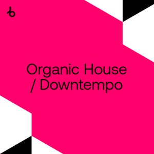 Beatport In The Remix 2021 Organic House & Downtempo November