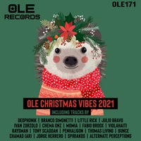 VA – Ole Christmas Vibes 2021 OLE171