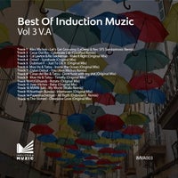VA – Best of Induction Muzic Vol. 3 – (Induction Muzic)