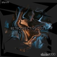VA – Retrospective 2021 STU177