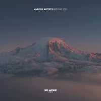 VA – 3rd Avenue – Best Of 2021 [3AV057LP]