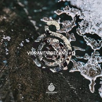 VA – Vibrant Vibeland 17 ST328