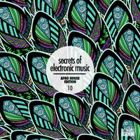 VA – Secrets of Electronic Music Afro House Edition, Vol. 10 – (Revibe Music)