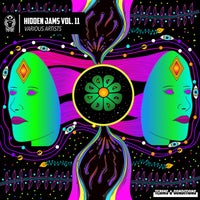 VA – Hidden Jams Vol. 11 TNCRHJ11