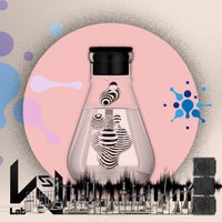 VA – Melodic Vibes WSLCO2021