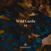 VA – Wild Cards 14 [PRST065]