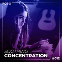 VA – Soothing Concentration 012 [LW Recordings]