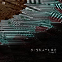 VA – Variety Music Pres. Signature, Vol. 10 [Variety Music]
