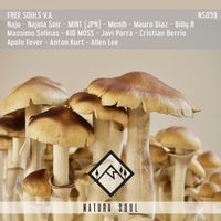 VA – Free Souls V.A. [Natura Soul]