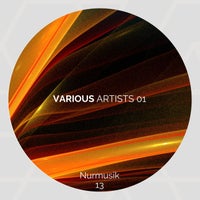 VA – Various Artists 01 NURMUSIK0013