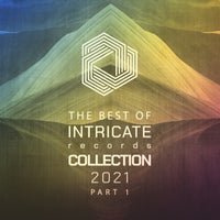 VA – The Best of Intricate 2021 Collection, Pt. 1 [Intricate Records]