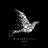 VA – Winter Chill 2022 (Relaxed Nu-Disco & Deep House Sounds) [Island Moods]