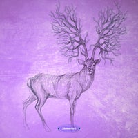 VA – Stammtisch NYE Session 2021 [Stammtisch]