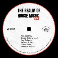 VA – The Realm Of House Music WRB001