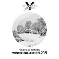 VA – Winter Collection 2021 [Do Yourself Records]