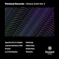 VA – Flexbeat Records – Various Artists Vol. 4 [Flexbeat Records]