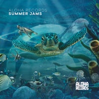 VA – Aloha Records – Summer Jams [Aloha Records]