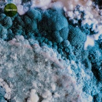 VA – Foaming Beatz [Obazda]