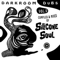 VA – Darkroom Dubs Vol. V – Compiled & Mixed By Silicone Soul [DRDDA005]