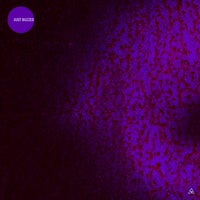 VA – Just Buzzed [Obazda]