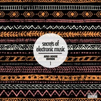 VA – Secrets of Electronic Music Afro House Edition, Vol. 11 – (Revibe Music)
