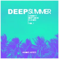VA – Deep Summer (Groovy Deep-House Flavors), Vol. 1 [Weekend Warriors Day]