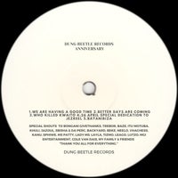 VA – Dung Beetle Records Anniversary Releases – (Dung Beetle Records)