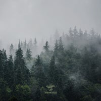 VA – The Sounds of Nature вЂ“ Vol.2 [Traumnovelle]