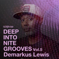 VA – Deep Into Nite Grooves, Vol. 5 [KSD460]