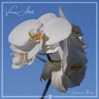 VA – VA Sampler – Harmonic Series [A Soul On Board]