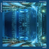 VA – Tech Avenue Presents Junction Vol. 5 [Tech Avenue Records]