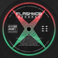 VA – In A Flash, Vol. 7 [FMR200]