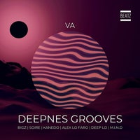 VA – Deepness Grooves [BEATZ]