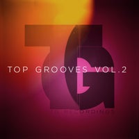 VA – Top Grooves Vol.2 [TG Recordings]