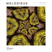 VA – Melodieux Vol. 1 [VOLTCOMP1091]