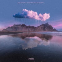 VA – Delightful Groove Selections I [DGS001]