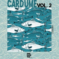 VA – Cardume, Vol. 2 [Me Gusta Records]
