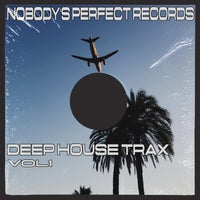 VA – Deep House Trax Vol1 [Nobody’s Perfect Records]