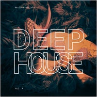 VA – Deep-House Carnival, Vol. 4 [Esta Caliente]