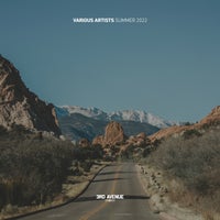 VA – Best Of 3rd Avenue _ Summer 2022 [3AV062LP]