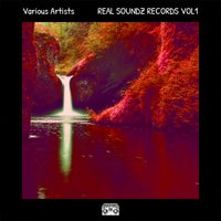 VA – Real Soundz Records, Vol. 1 [REAL SOUNDZ]