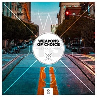 VA – Weapons of Choice – True House Music, Vol. 13 [RH2]